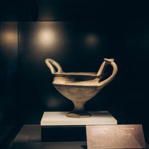 Muse-X: Paquete de Digitalización 3D y Experiencia VR Básica